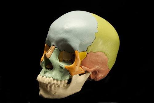 Craniosacrale Therapie
